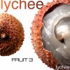 fruit lychee